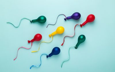 Sperm Health: The Other Side of the Equation